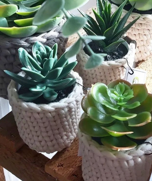 Mini Faux plants